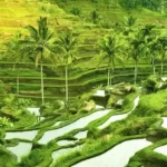 Popular Instagrammable Places in Bali