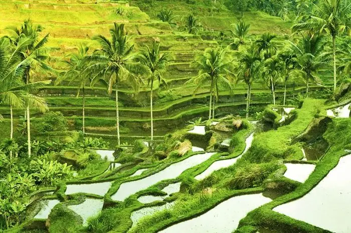 Popular Instagrammable Places in Bali