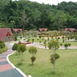 Best Tourist Attractions in Kendari That You Must Visit