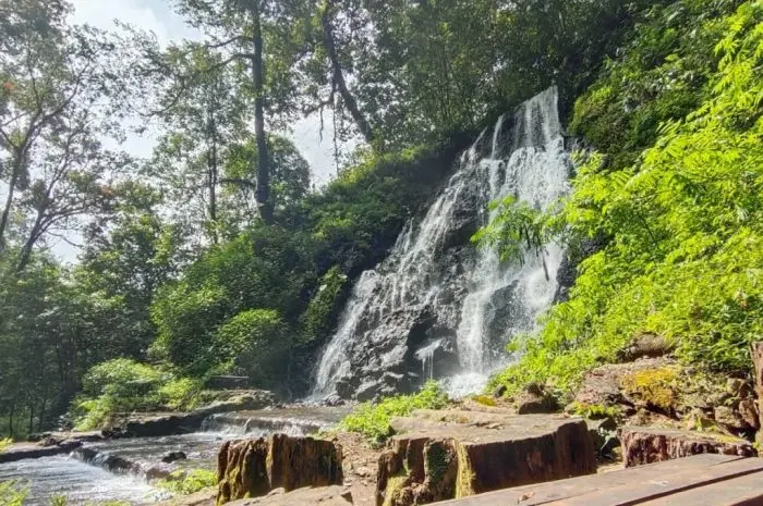 Best Tourist Attractions in Pacet Mojokerto that Offer Natural Beauty