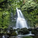 Hidden Waterfalls in Bogor That Are a Must Visit for an Exciting Nature Adventure