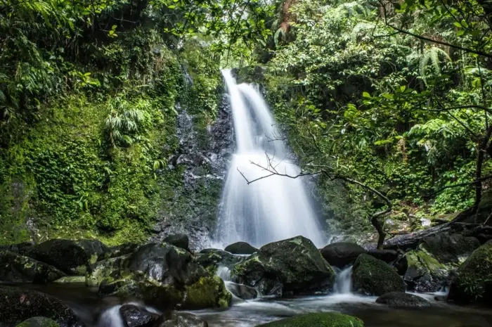 Hidden Waterfalls in Bogor That Are a Must Visit for an Exciting Nature Adventure