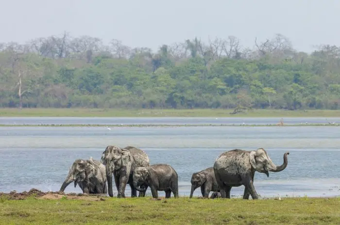 Best Tourist Attractions in Lampung Explore the Natural Beauty of Lampung