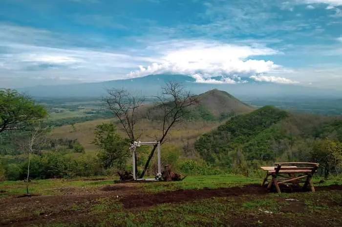 Popular Tourist Attractions in Jember Natural Beauty and Instagenic Culture